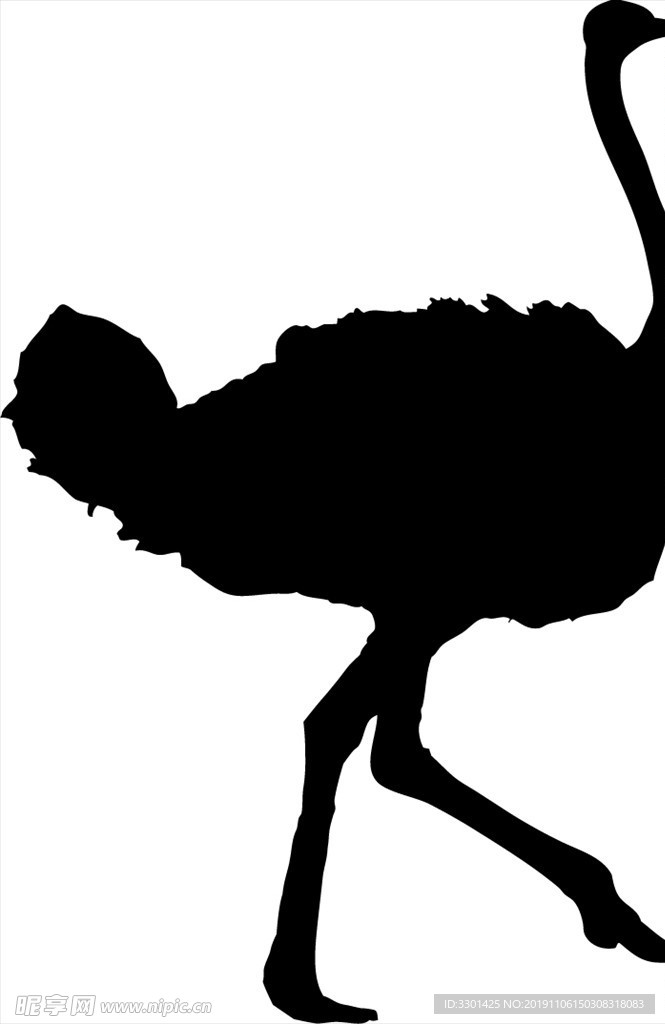 野生动物系列 鸵鸟 矢量图