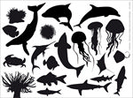 鱼类生物系列 海洋生物