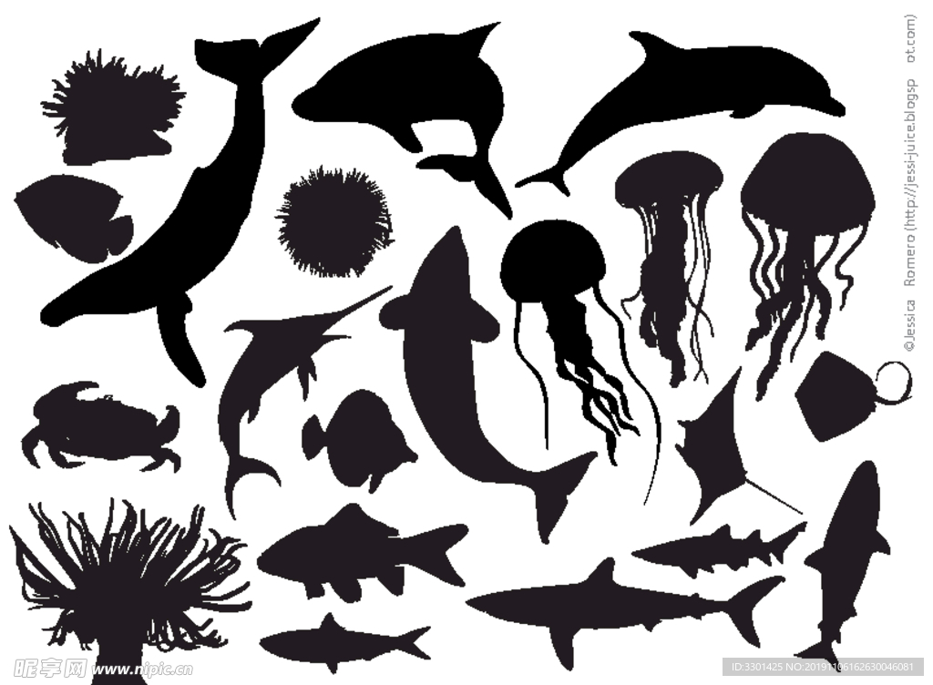 鱼类生物系列 海洋生物