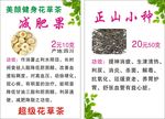减肥果 正山小种 菊花茶