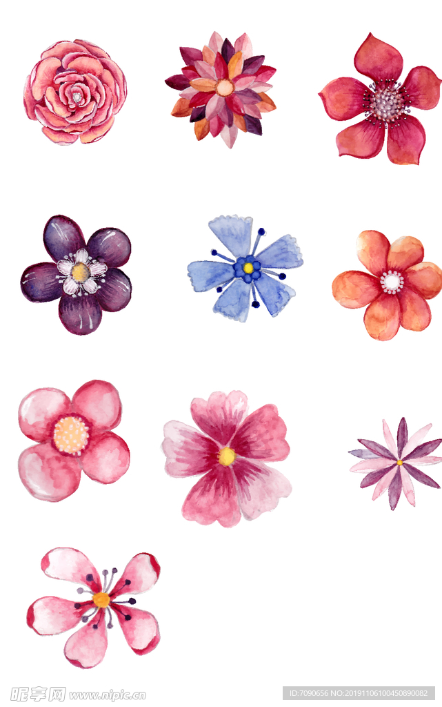 花卉素材