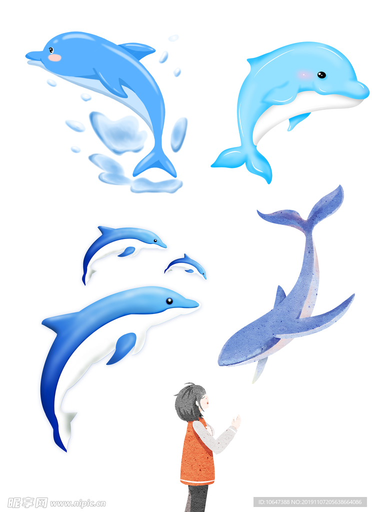 卡通海豚