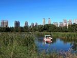 哈尔滨丁香公园风景