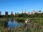 哈尔滨丁香公园风景