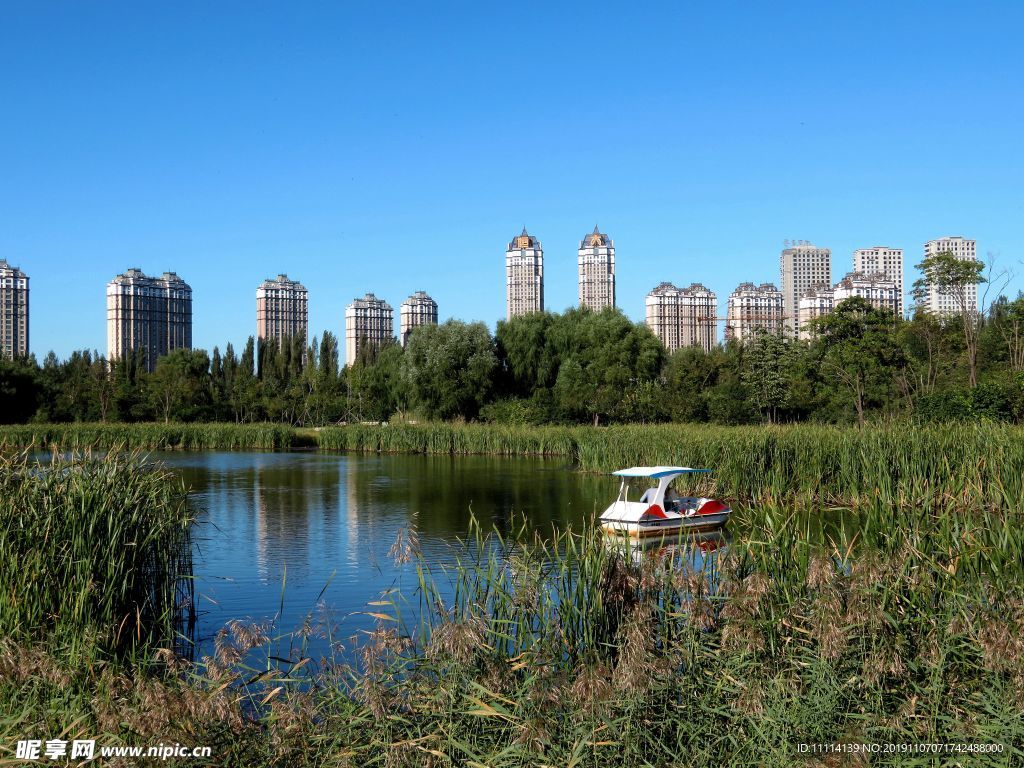 哈尔滨丁香公园风景