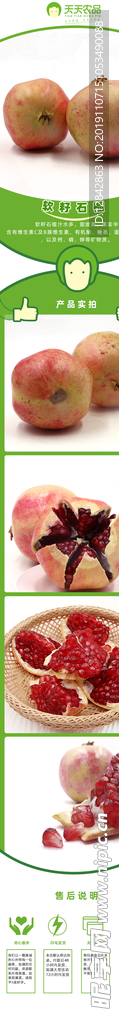天天农品 石榴