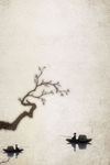 中国风