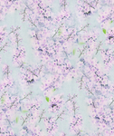 粉色小梅花