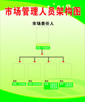 市场管理人员架构图