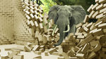 3D立体大象背景墙