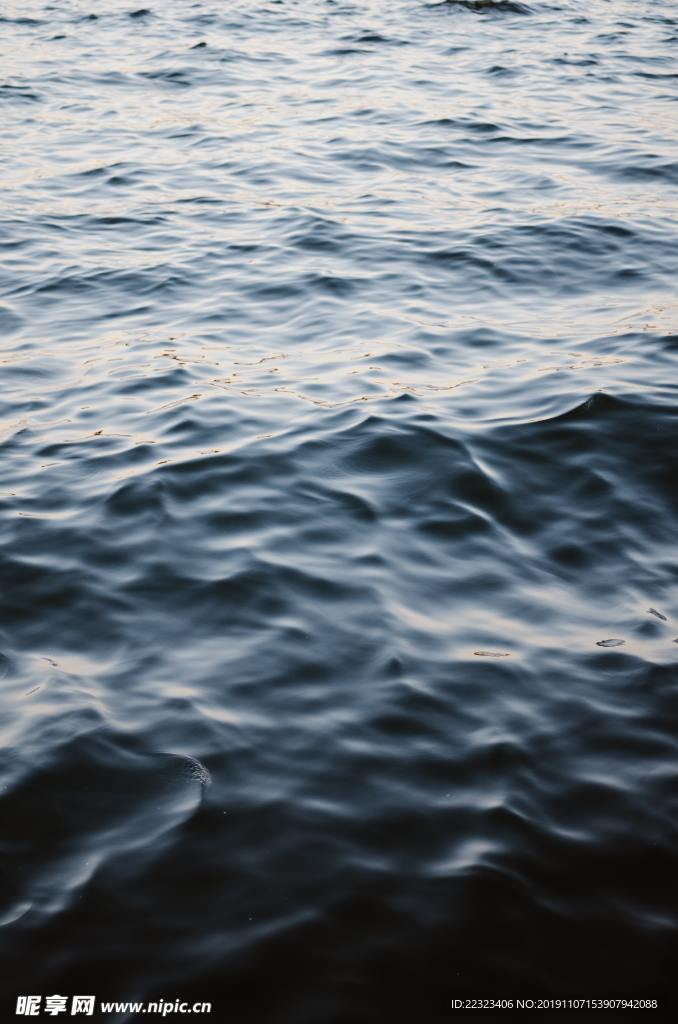 水波纹