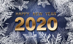 2020年