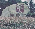 黄龙溪景区 成都 黄龙溪标志