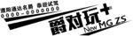 全新名爵zs试驾车车贴