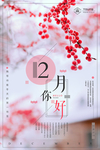十二月你好