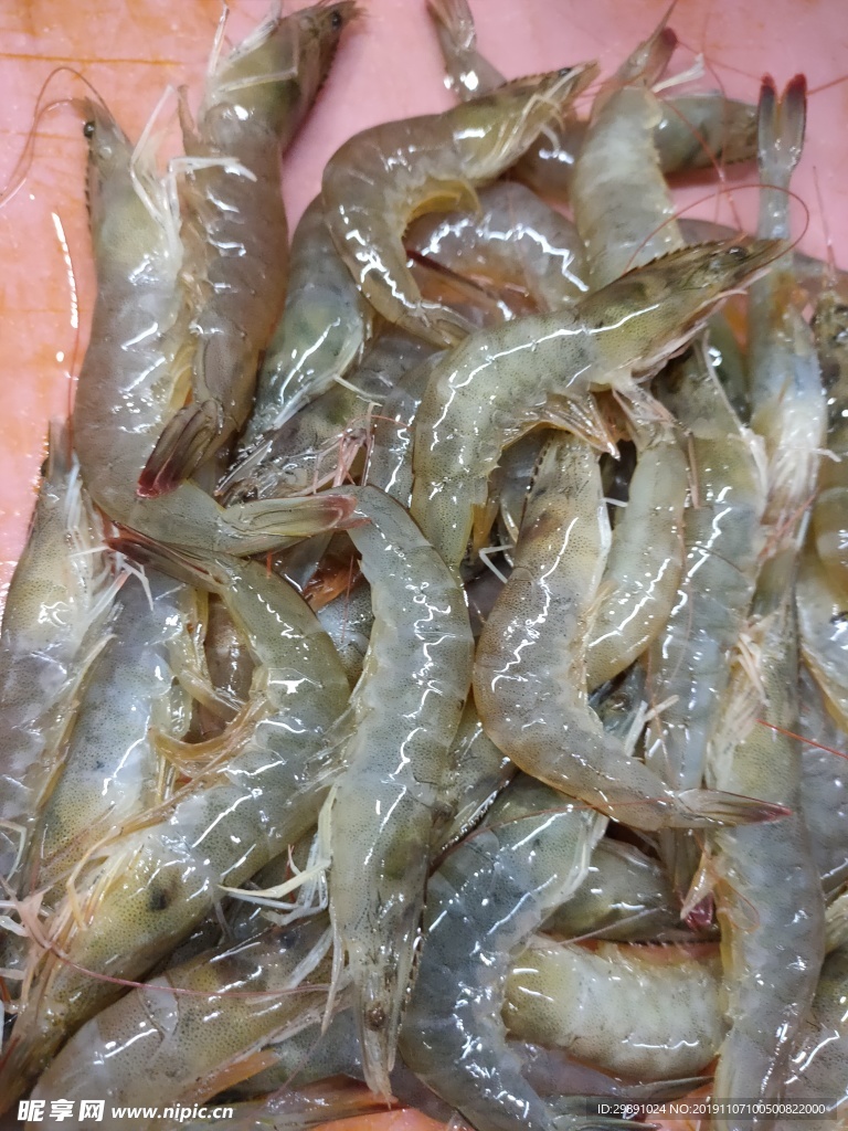 虾