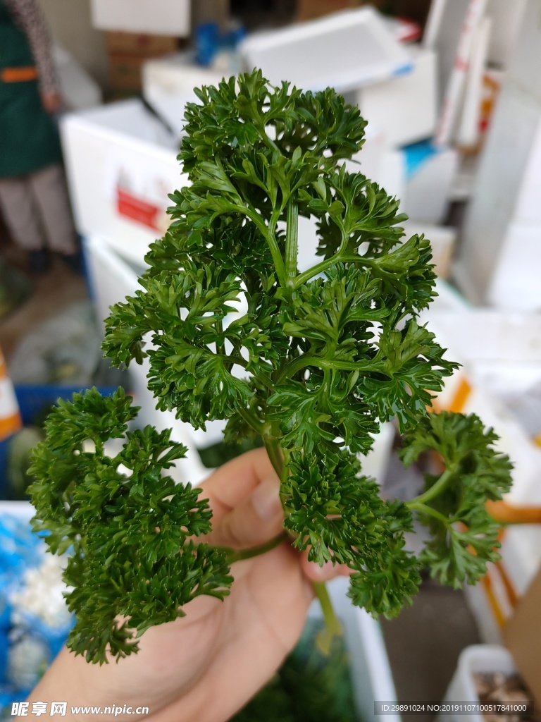 青菜