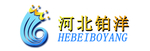 河北铂洋LOGO