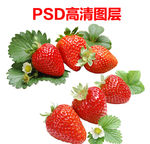 草莓