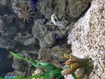海馆