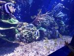 海洋馆