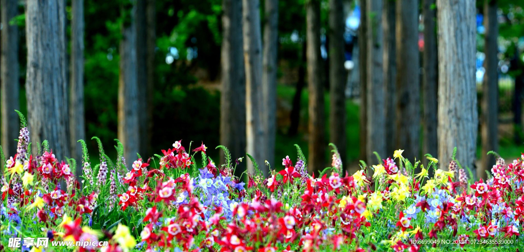 鲜花