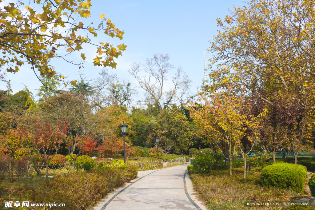 青岛中山公园