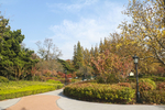 青岛中山公园