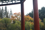 风景