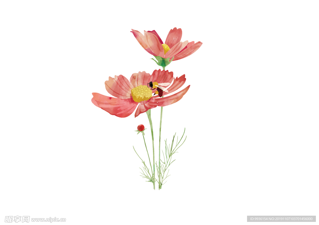 水彩雏菊
