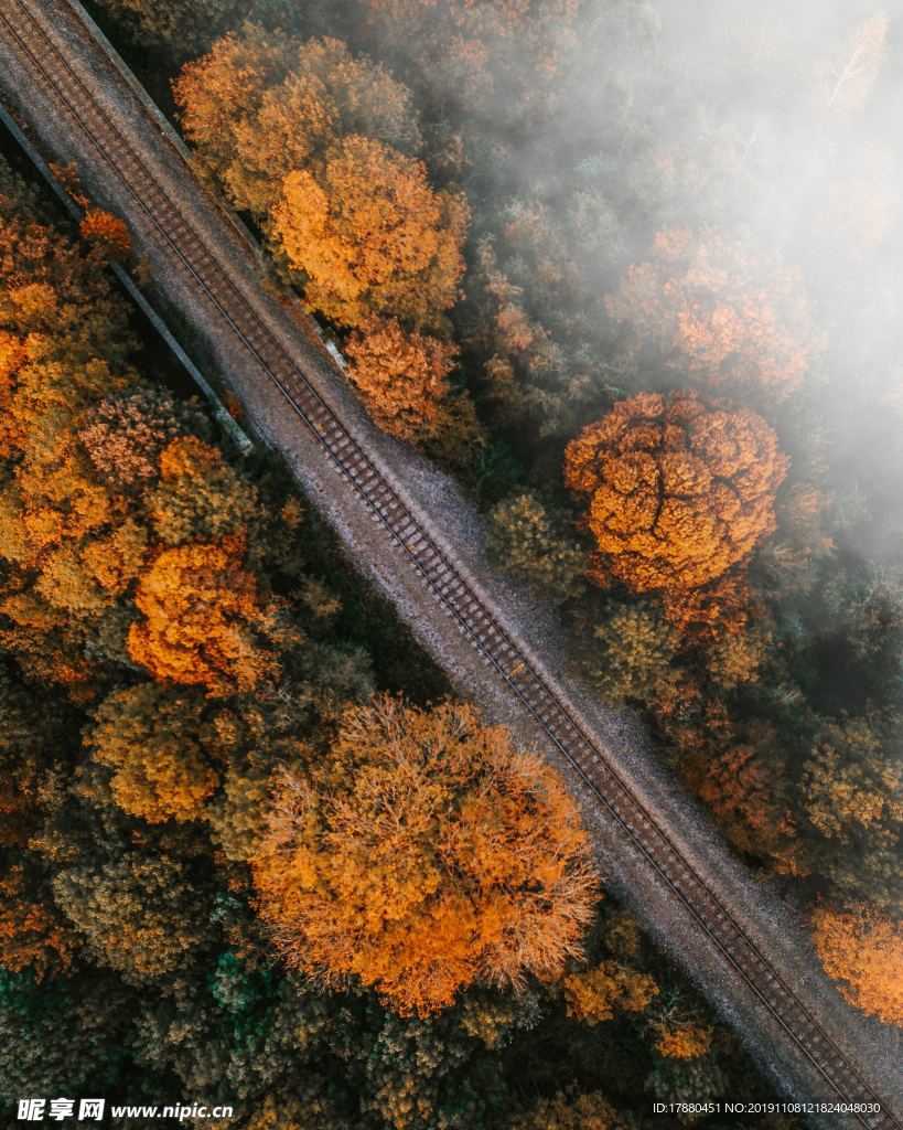 山林与公路