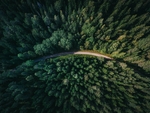 山林与公路