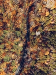 山林与公路