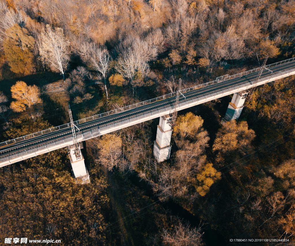 山林与公路