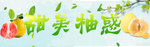 柚子