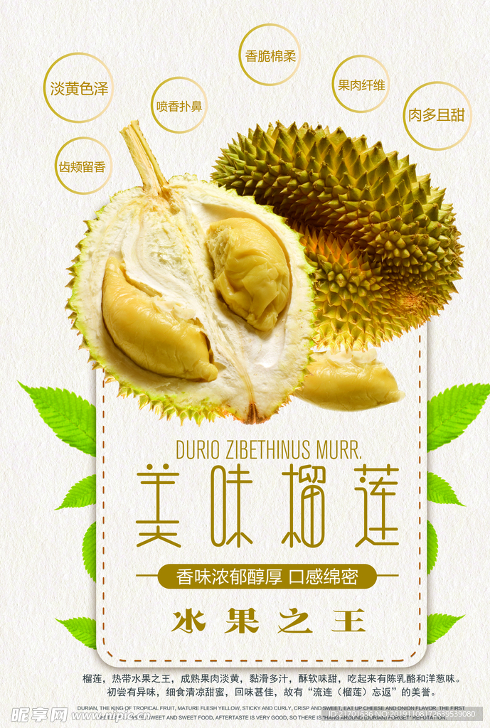 榴莲