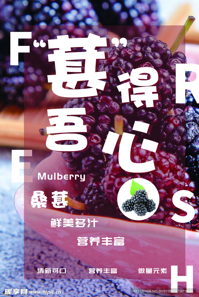 桑葚