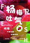 杨梅
