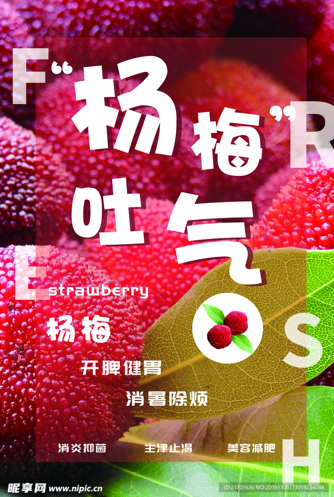 杨梅