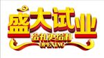 盛大试业艺术字