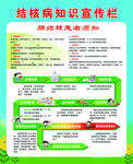 结核病知识