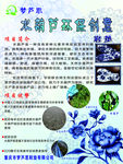 水葫芦鞋垫海报