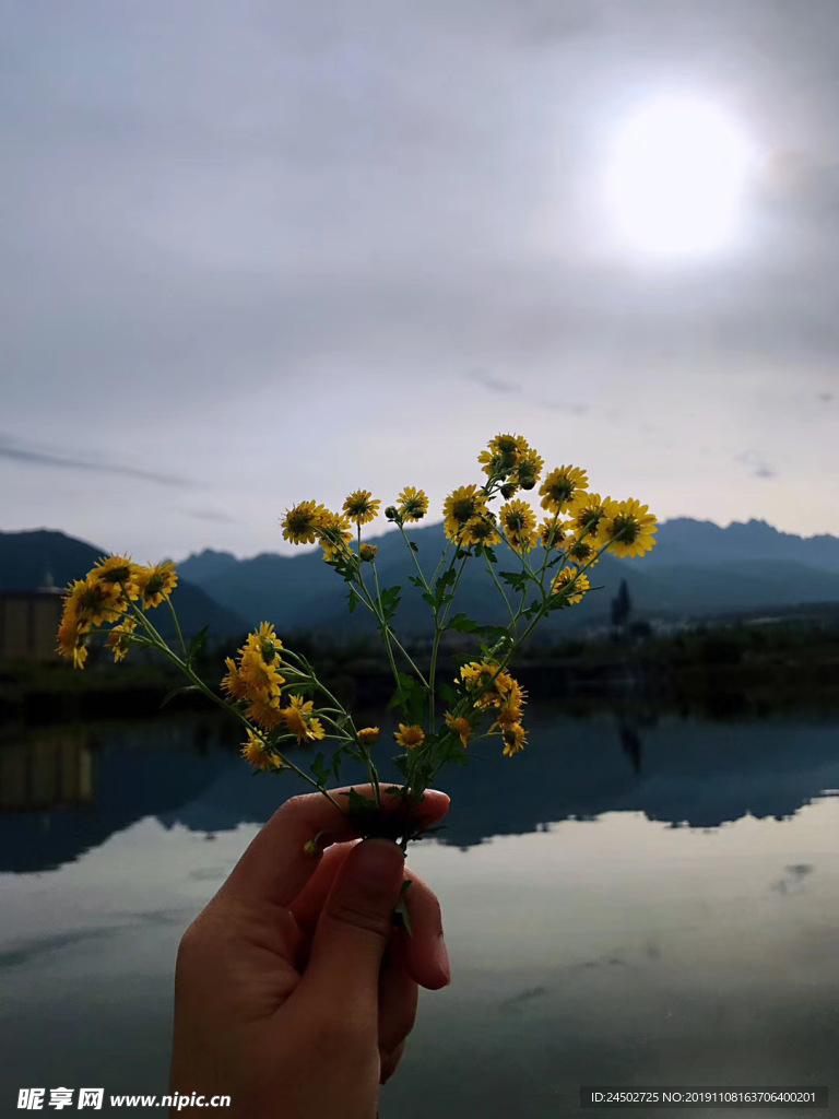 夕阳下的风景