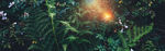 唯美banner