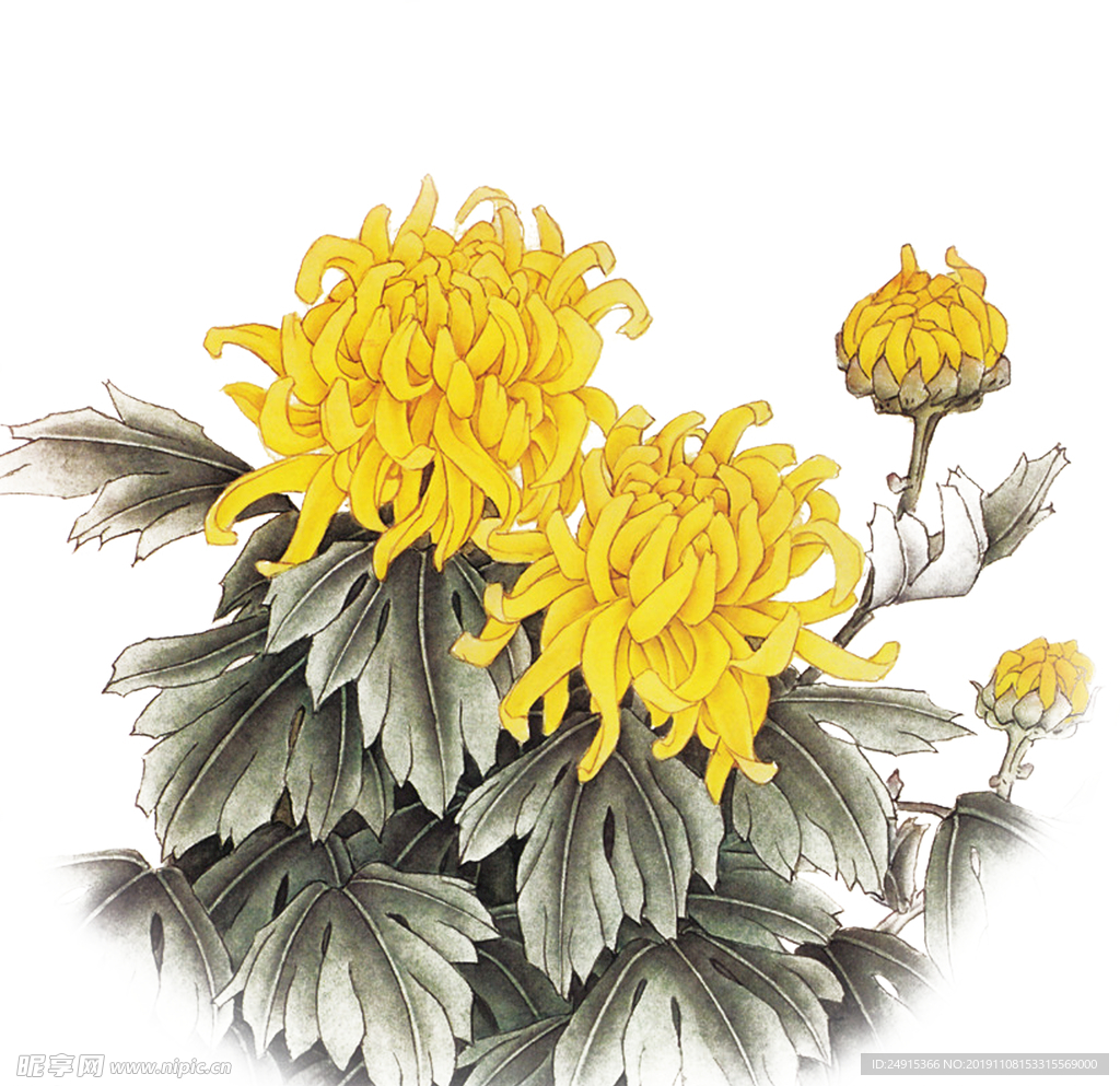 鲜花