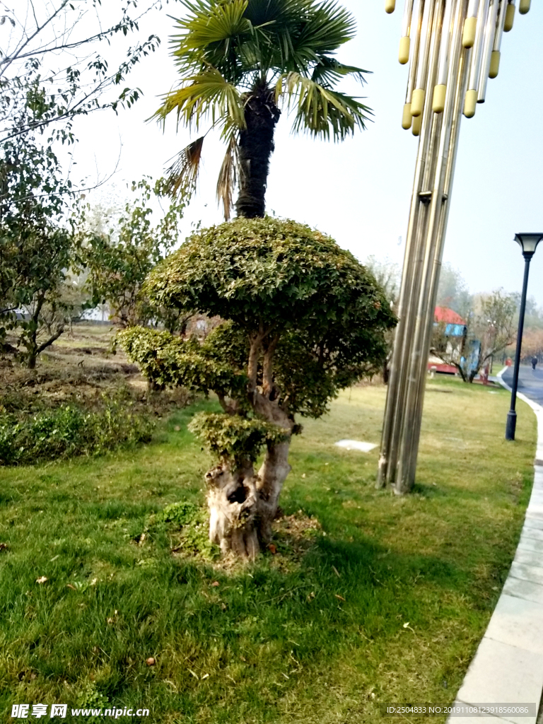 自然风景