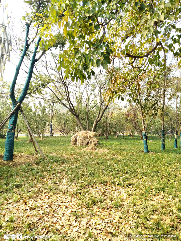 自然风景