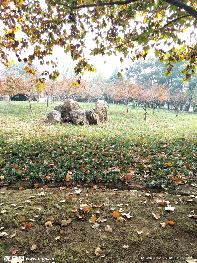 自然风景