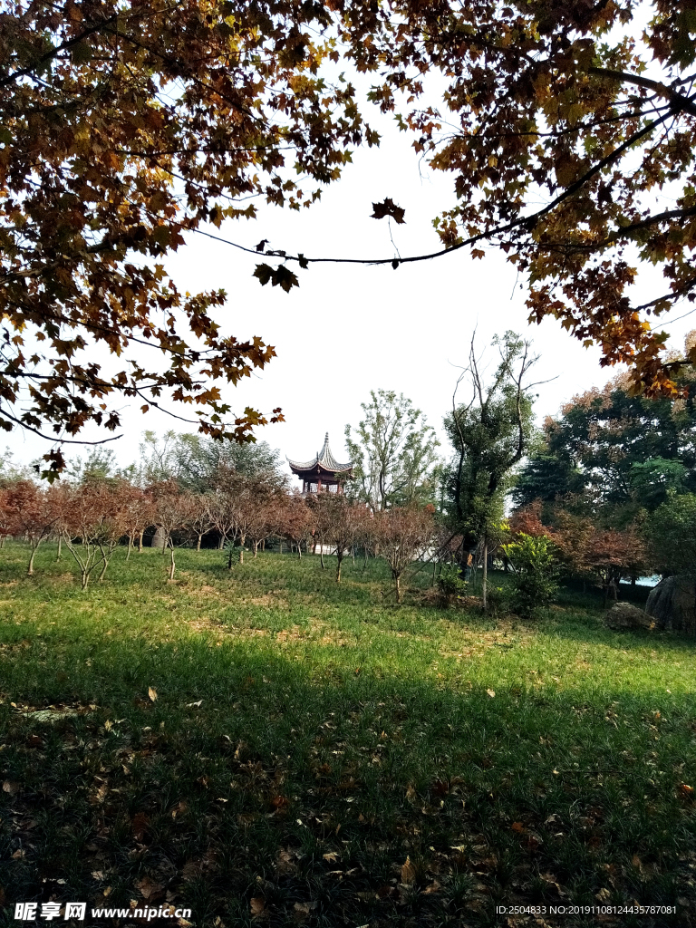 自然风景