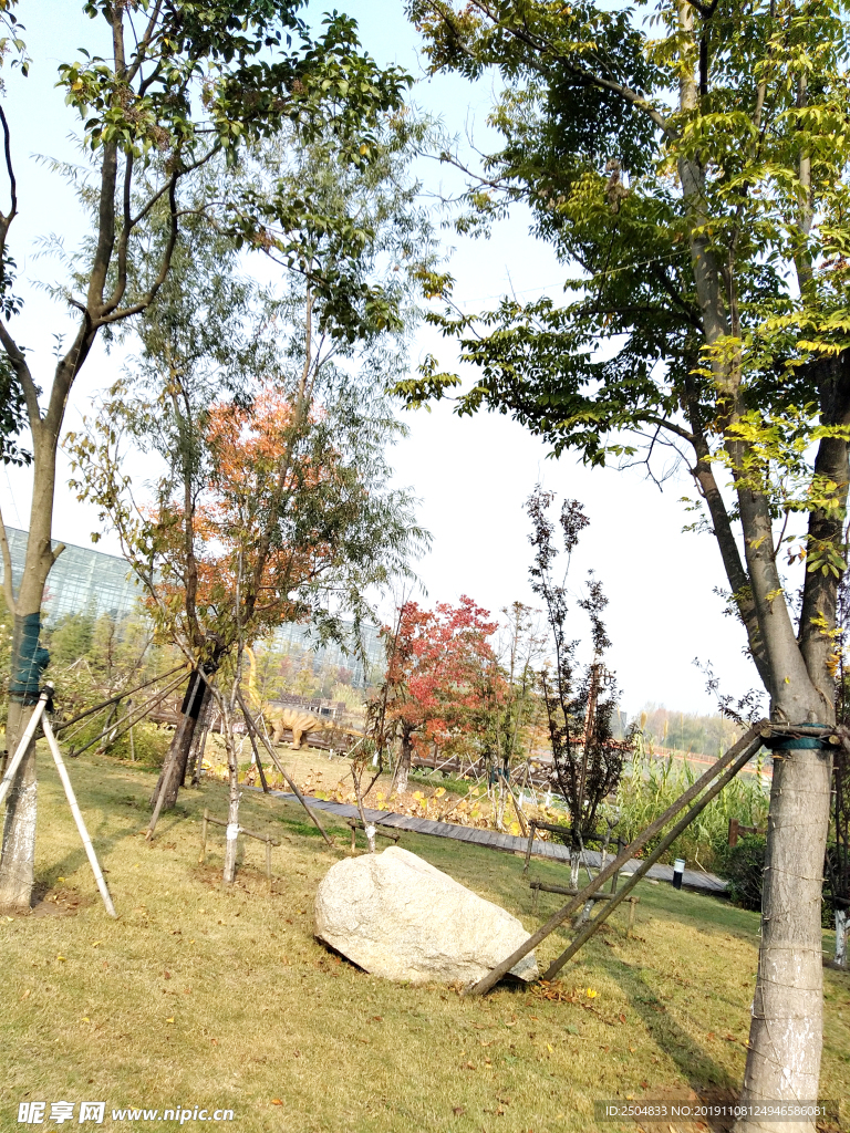 自然风景